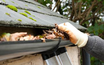 gutter cleaning Holditch, Dorset