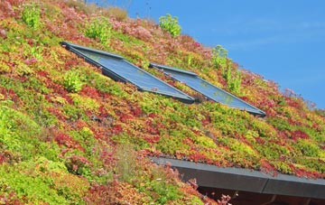 Holditch living roof systems