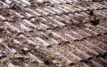 Holditch roof cleaning companies