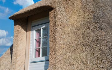 Holditch thatch roof disadvantages