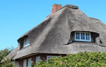 thatch roofing Holditch, Dorset