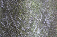 Holditch fibreglass roof work