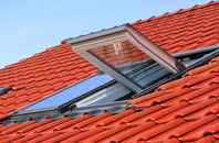 Holditch roof window